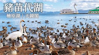 豬苗代湖|一起來感受鴨鴨大軍的視覺震撼吧!一探皇族別墅天鏡閣、冷到不行的檜原湖早晨散步、裏磐梯湖畔飯店自助早餐|福島旅行、日本旅遊、Satori日本生活