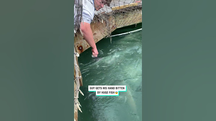 Guy gets his hand bitten by huge fish! 😱😳  -  🎥 Viralhog