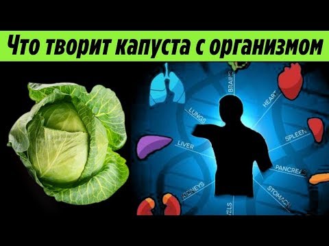 Что будет с организмом если Есть Капусту Каждый день Список Недугов которые решает Капуста