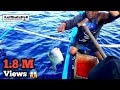 Surigao "Palangre Fishing" Catch GIANT TITAN TRIGGERFISH or "Papakol" [Catch and Cook]