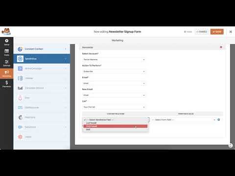 WPForms SendinBlue