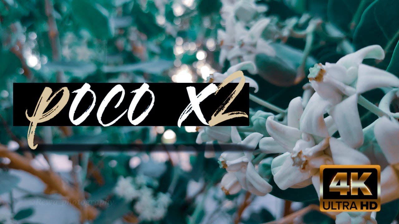Poco X2 4k video test || poco X2 4k 30 fps video