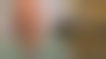 Newly developed bomb detector helps fight suicide bombing