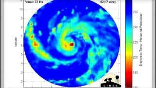 Typhoon Hagupit / Ruby Wednesday Evening Update