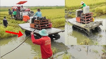 CẢNH HAI MÁY CẮT LÚA KUBOTA DC93 CÙNG DC70 PHƯỢT VUÔNG TÔM