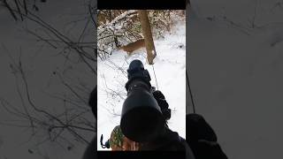 Close Range Deer Hunt Success 🦌#DeerHunting #CloseShot #HuntingLife #OneShotKill😱2026🦌