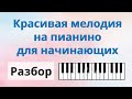 Красивая простая мелодия на ПИАНИНО для начинающих! РАЗБОР