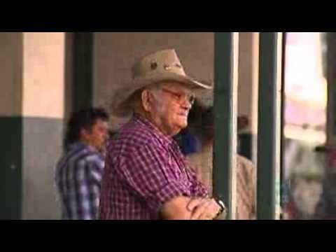 Who is Kennedy MP Bob Katter?