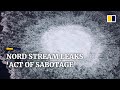 ‘Sabotage’ behind gas leaks in Russia’s Nord Stream pipelines, say EU, Nato officials