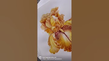 illustration overview | botanical art