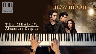 The Meadow - Alexandre Desplat - issu de The Twilight Saga New Moon - piano cover