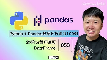 Python Pandas 数据分析，编程练习100例 53 for循环遍历dataframe