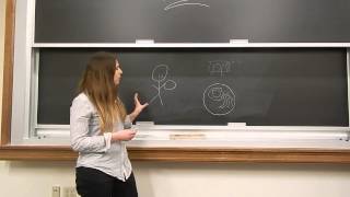 Jacqueline Corcoran Breakthrough Collaborative Application Video
