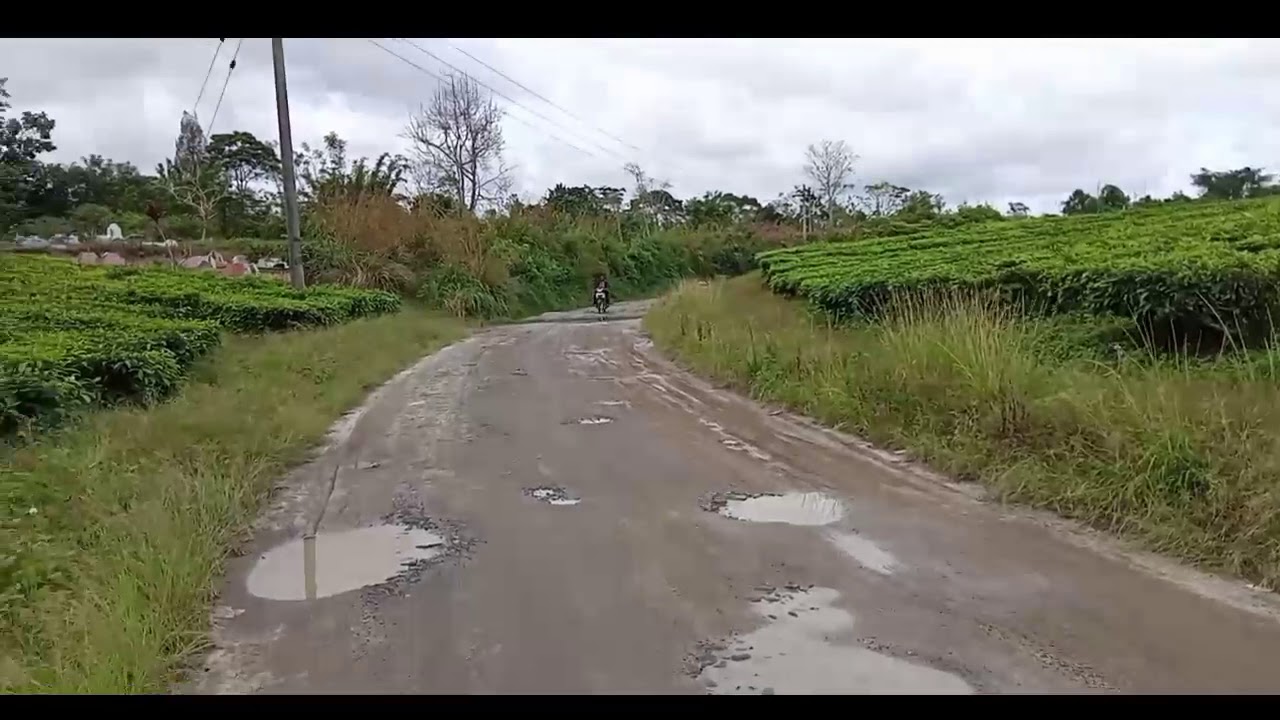 DUA JEMBATAN ANGKER DI KEBUN TEH BAH BUTONG