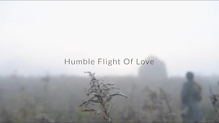 Amy Pardo - Humble Flight Of Love - (OFFICIAL VIDEO)