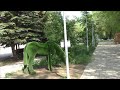 ОЗО Черепашка,Ком парк, фонтан