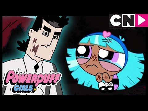 Powerpuff Girls | New Big Sister! | Bliss 💜 | Cartoon Network