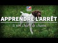 Apprendre larrt a son chien  chiens de chasse ep 8