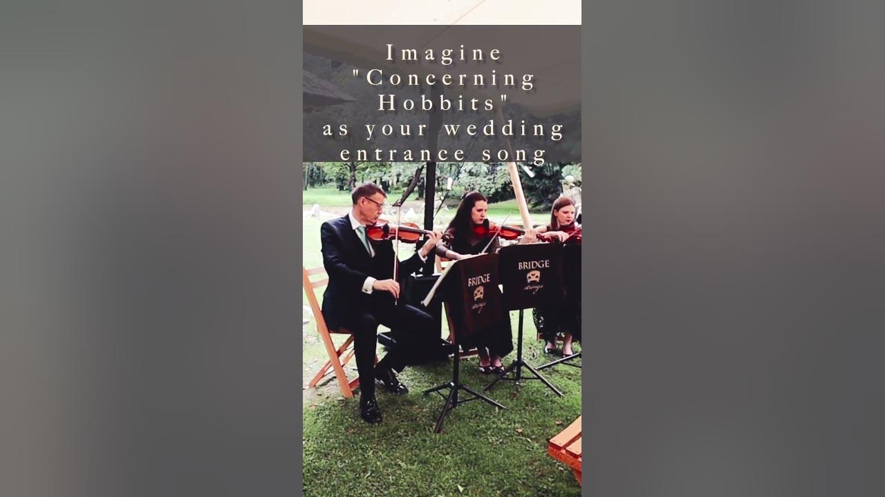 Imagine “Concerning Hobbits” as your wedding entrance song 🎻❤️ #violin #short #discover #lotr