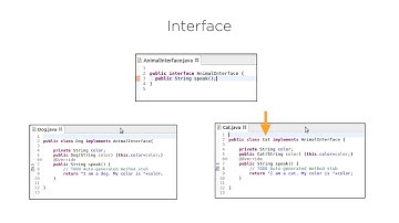 Java: Object Oriented Programming Concepts - Abstraction