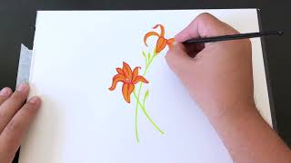 How To Paint Tiger Lillies with Gouache