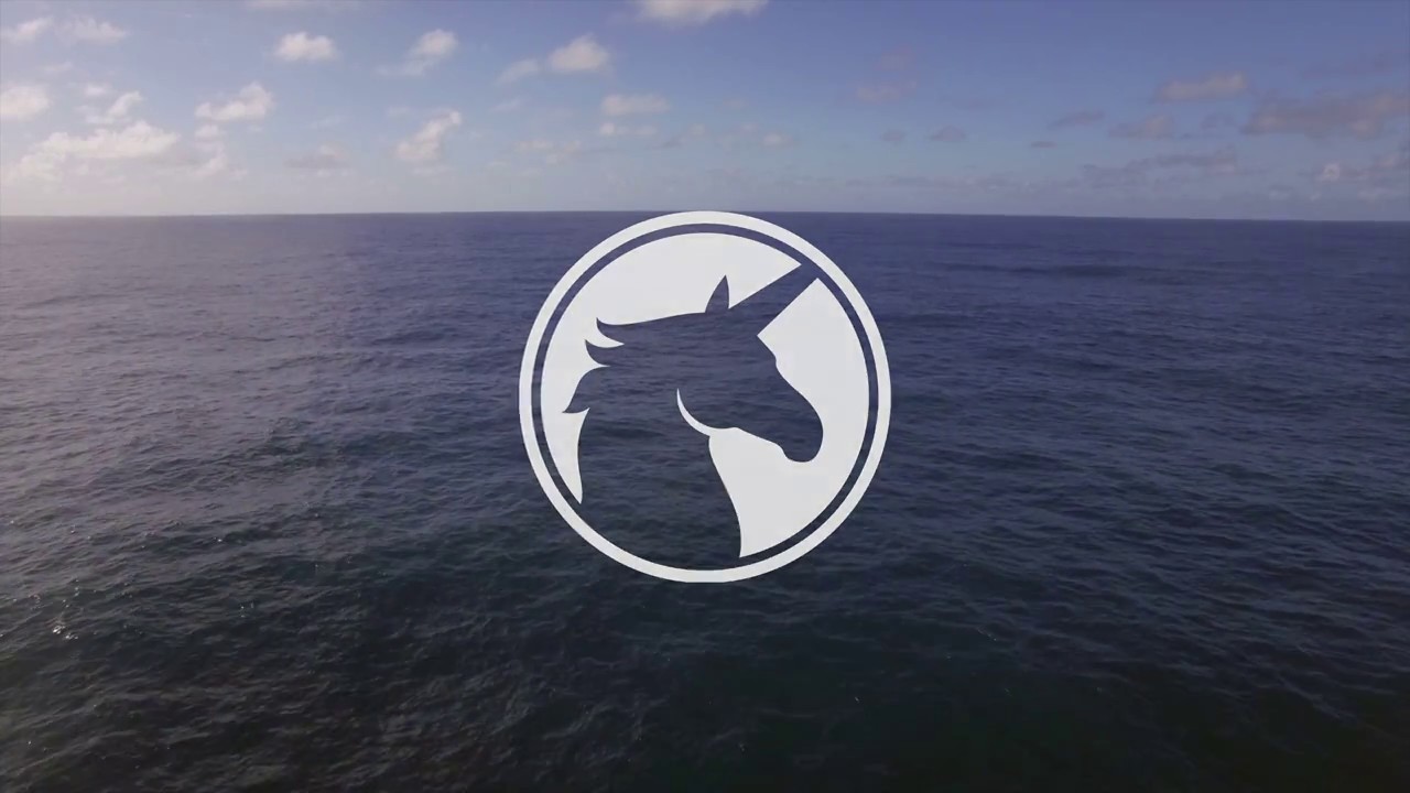 Boldman Capital - Decentralized Investment Fund