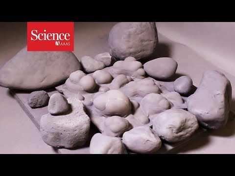 Science’s newest skin job: a robot that can change its texture on the fly