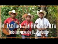 Puras cumbias con violín (El Tao Tao y La Hormiguita) por el Trío Inspiración Huapanguera