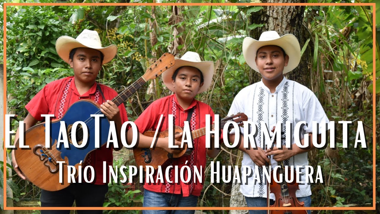 Puras cumbias con violín (El Tao Tao y La Hormiguita) por el Trío Inspiración Huapanguera