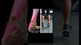 24 De Janeiro De 2024