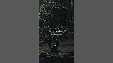 #تلاوة القرآن مع المطر مقطع قصير __ هدوء القلب😔💜