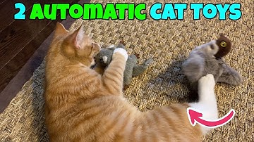 2 Addictive Cat Toys; Motorized Flapping Bird & Flying Squirrel  🐈 Gadgetify