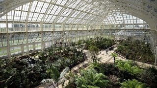 World's largest Victorian glasshouse reopens at Kew | ITV News