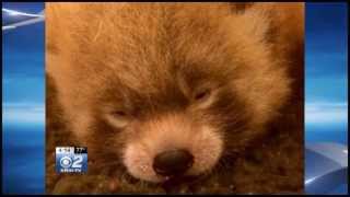 Boise Welcomes Two New Residents