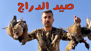 صيد الدراج بكلاب الصيد | عتاد الشد |Hunting in Iraq