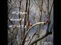 احب الكلام الى الله ا ربع.