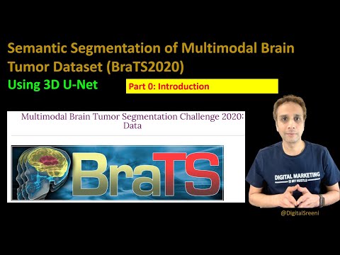 231 - Semantic Segmentation of BraTS2020 - Part 0 - Introduction (and plan)