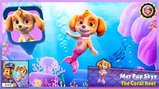 PAW Patrol Rescue World - Unlock New Character Mer Pup Skye 汪汪隊拯救世界 - 天天美人魚的水世界地圖