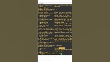 Creating VLANs on Juniper Shorts