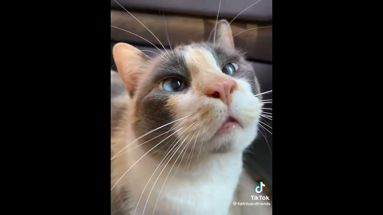 It's the eye-crossing for me_1