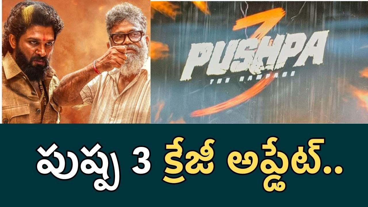 Pushpa 3 Update 😲 Sukumar’s Master Plan Revealed! | Filmibeat Telugu