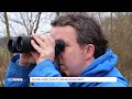 Vogelschutz und Heckenschnitt