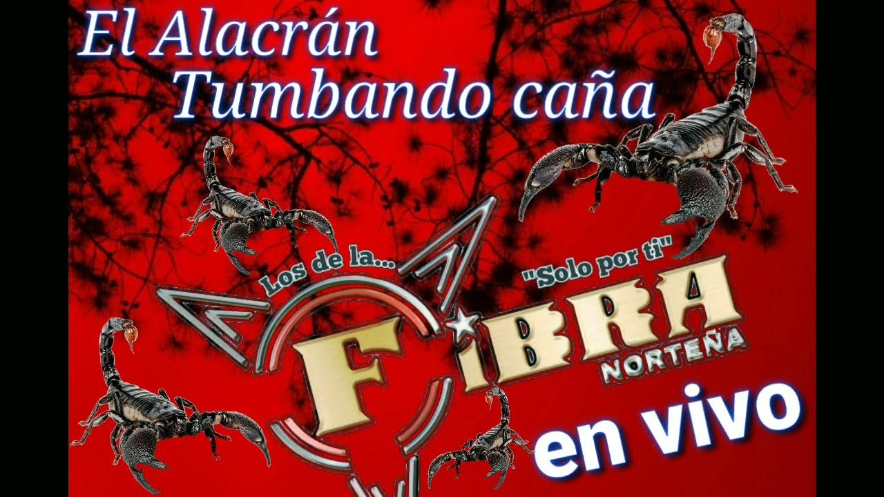 grupo la fibra norteña el alacrán