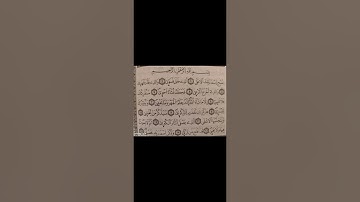 سورة الأعلى مكررة القارئ ياسين الجزائري