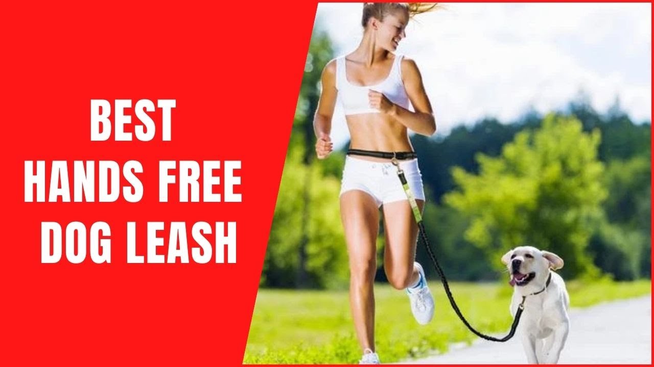 best running leash