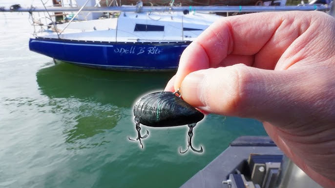 Gnarly Structure Fishing With MUSSEL Lure!! 