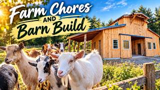 Chores Done ✅ Barn Office Done ✅ | Another Day on the Homestead