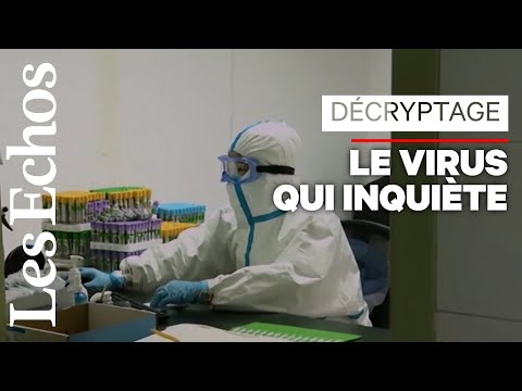 Que faire face à la propagation du virus chinois ? Que faire face à la propagation du virus chinois ?