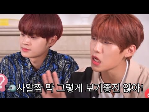 [AB6IX/초코즈]웅이 애교가 그렇게 보기좋진않은 우진잌ㅋㅋㅋㅋ