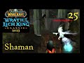 WoW Classic WotLK Shaman #25 - Tools of the Highborne